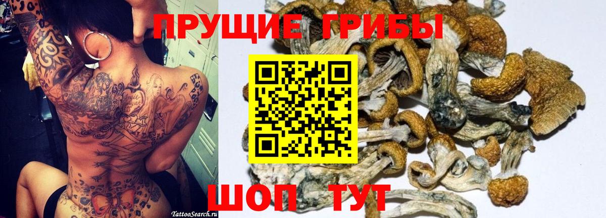 Галлюциногенные грибы Cubensis Усть-Илимск